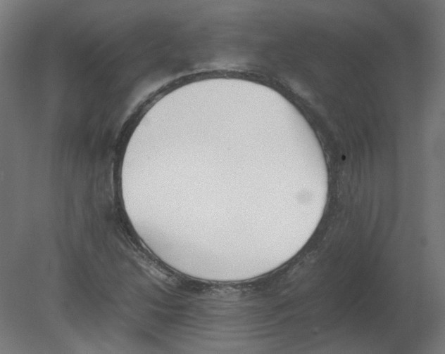 X0000080781214200701122113