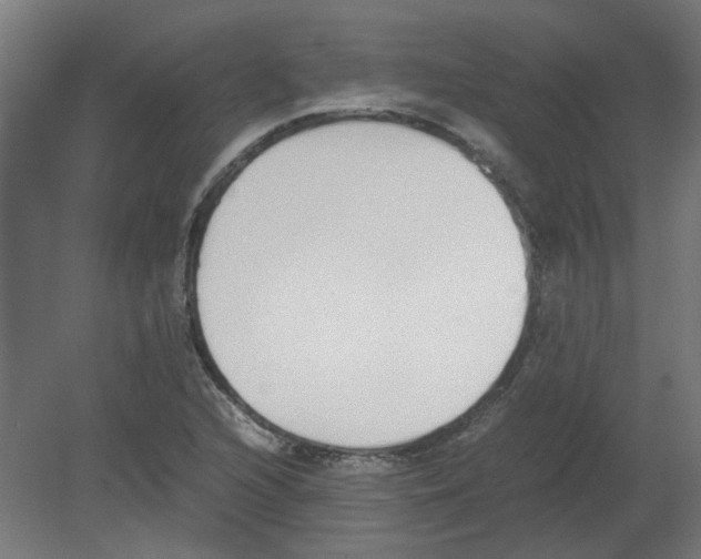 X0000080781216200701122113