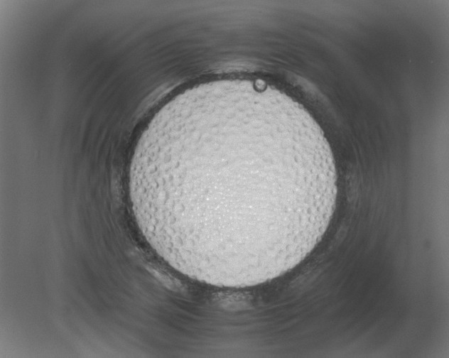 X0000080781217200701122113
