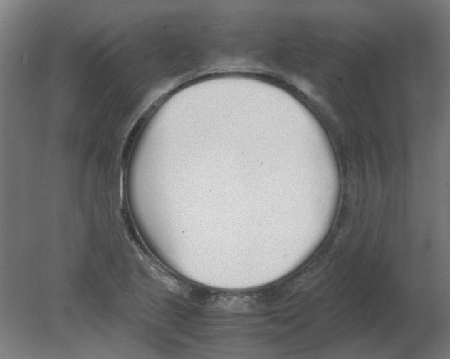 X0000080781221200701122113