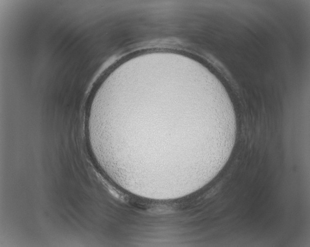 X0000080781224200701122113