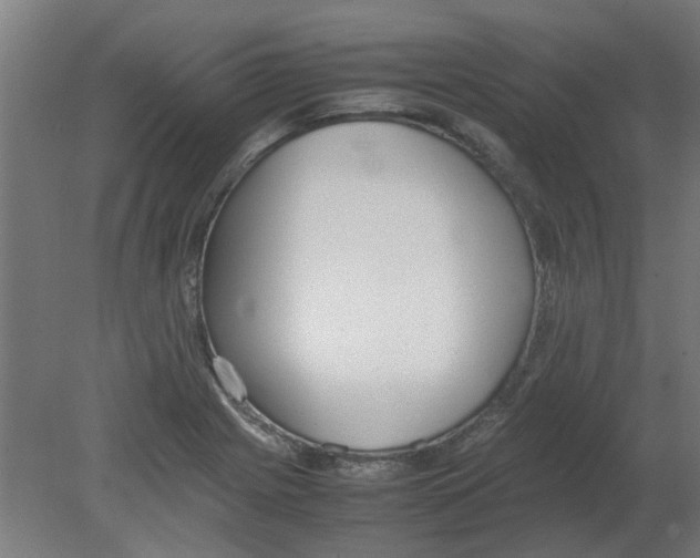 X0000080781225200701122113