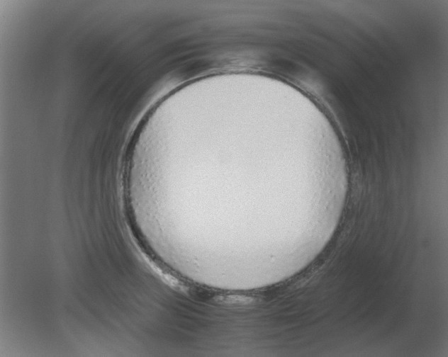 X0000080781235200701122113
