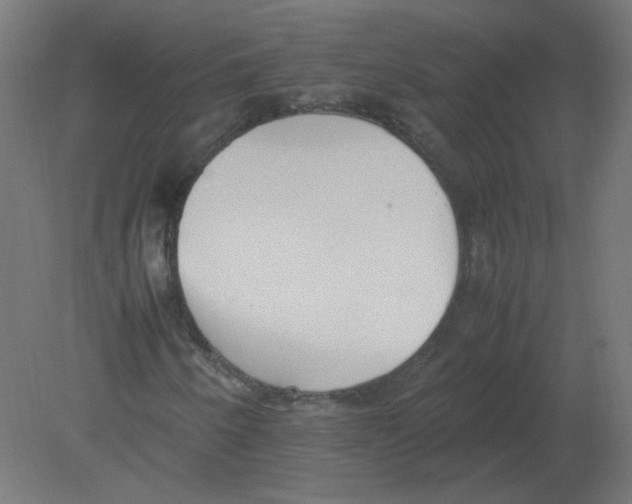 X0000080781250200701122112