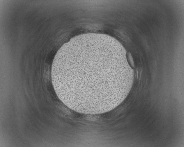 X0000080781251200701122112