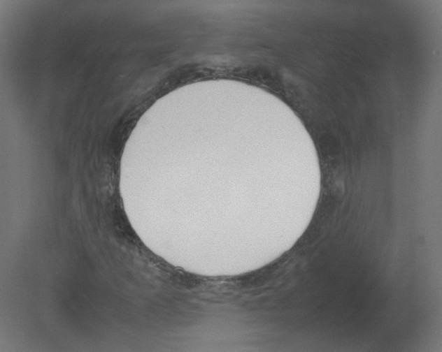 X0000080781253200701122112