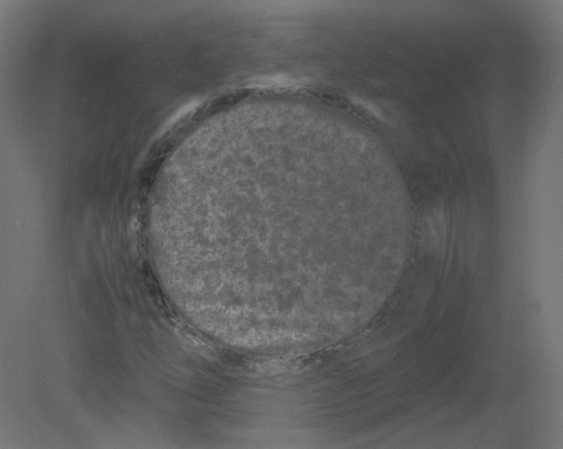 X0000080781254200701122112