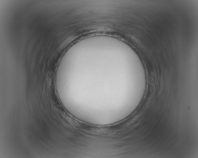 X0000080781257200701122112