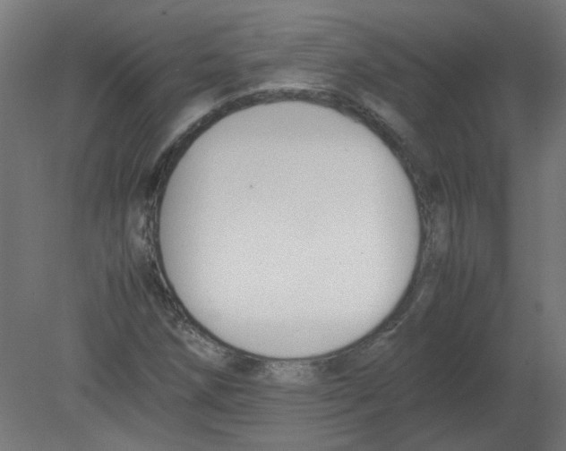X0000080781258200701122112