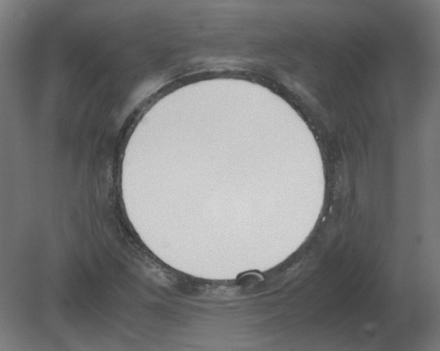 X0000080781261200701122112