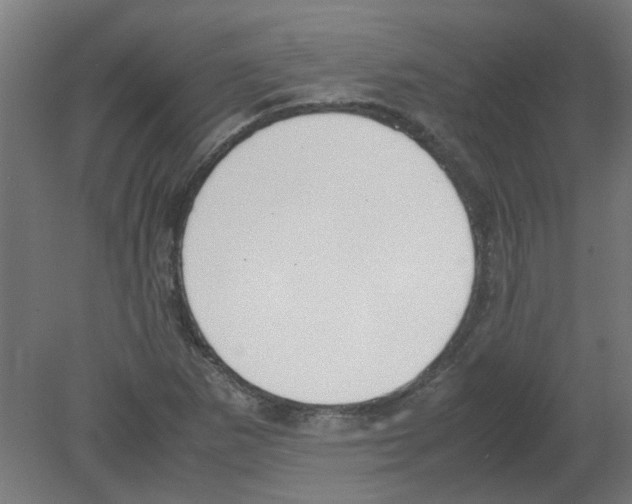 X0000080781265200701122112