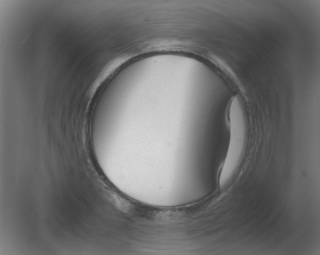 X0000080781277200701122112