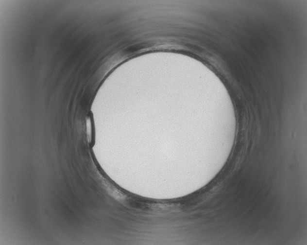 X0000080781281200701122112