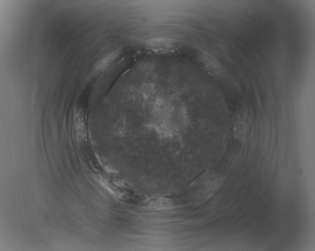X0000080781298200701122111