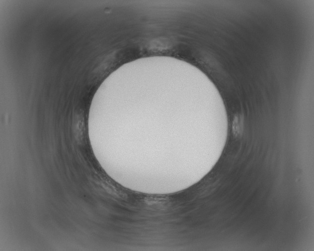 X0000080781299200701122111