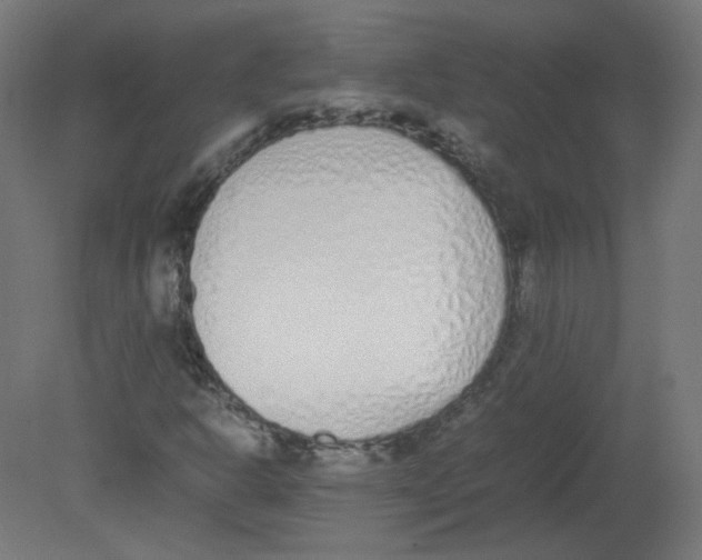 X0000080781302200701122111