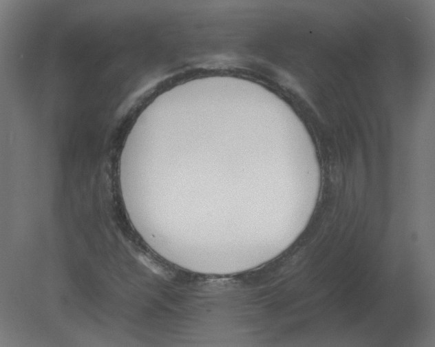 X0000080781304200701122111
