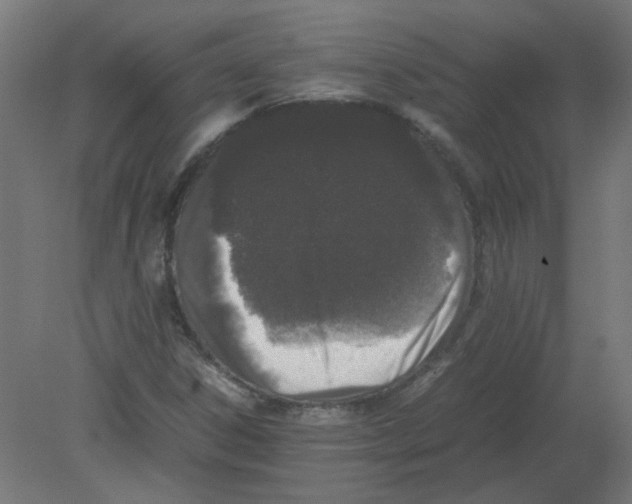 X0000080781306200701122111