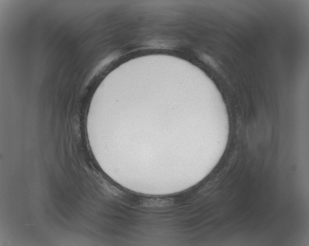X0000080781307200701122111