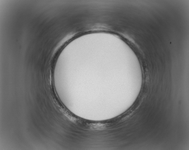 X0000080781317200701122111