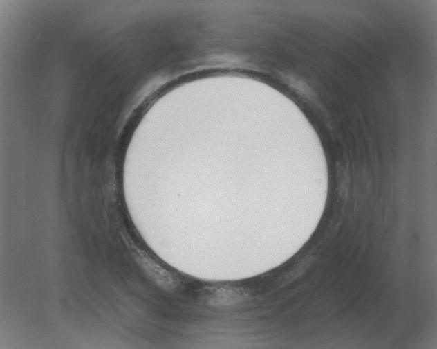 X0000080781318200701122111