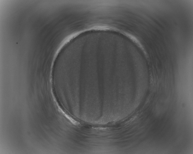 X0000080781327200701122111