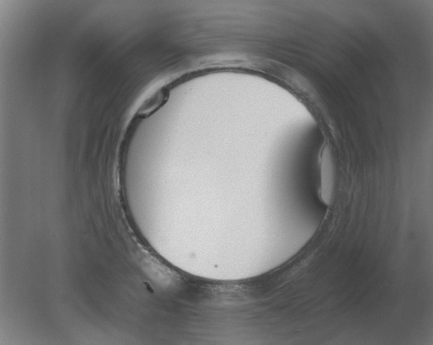 X0000080781328200701122111