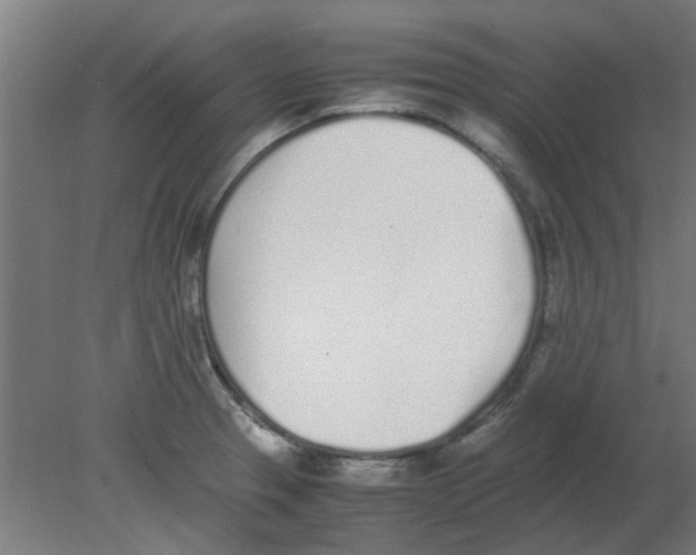 X0000080781329200701122111