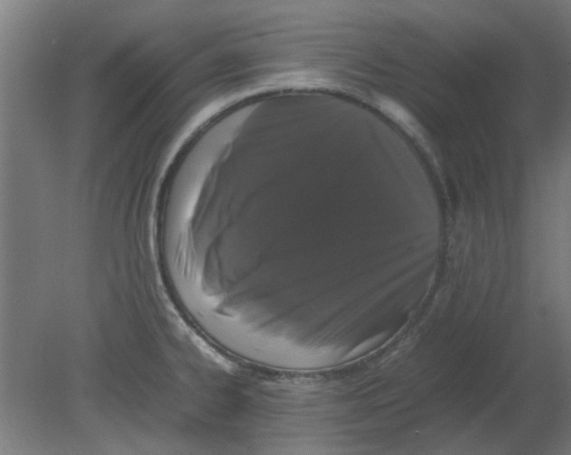 X0000080781334200701122111