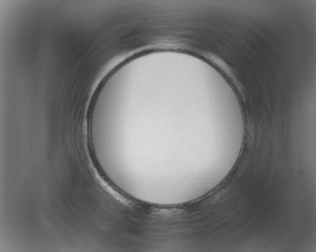 X0000080781335200701122111