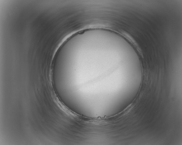 X0000080781340200701122112