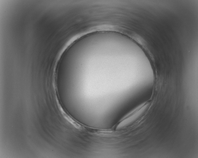 X0000080781342200701122112
