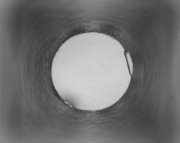 X0000080781345200701122111