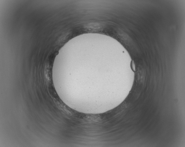 X0000080781346200701122111