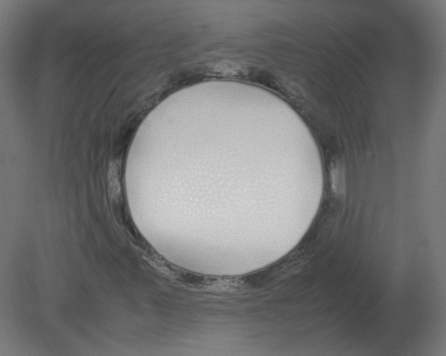X0000080781347200701122111