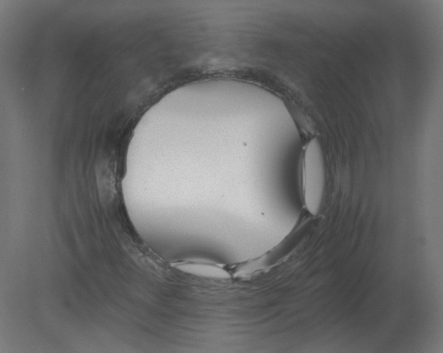 X0000080781348200701122111