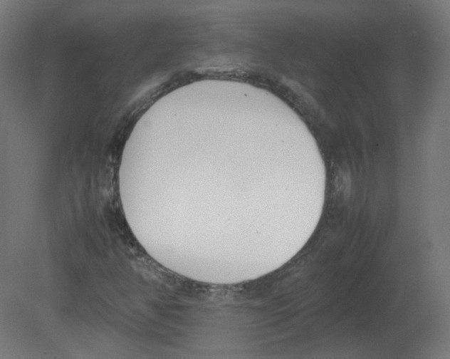 X0000080781350200701122111
