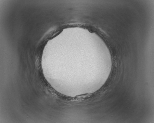 X0000080781351200701122111