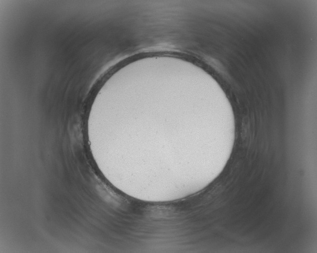 X0000080781356200701122111