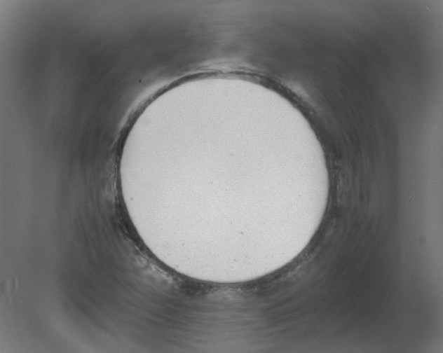 X0000080781358200701122111
