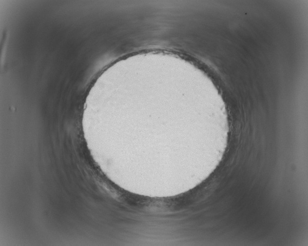 X0000080781359200701122111