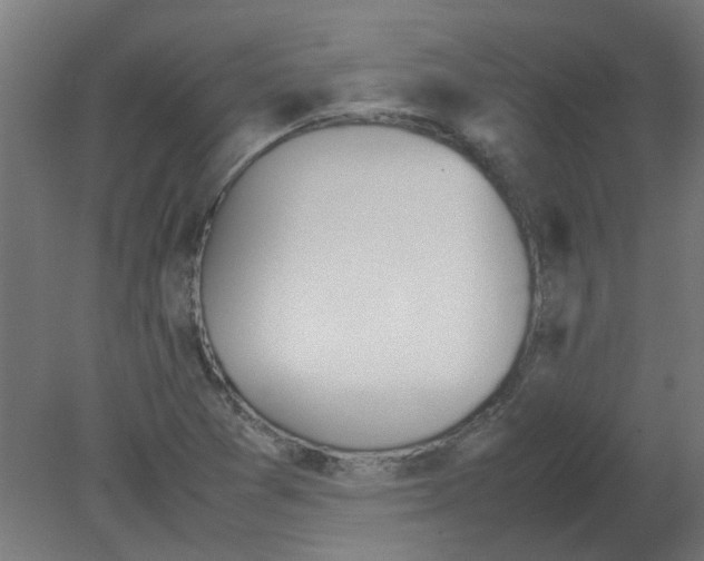 X0000080781361200701122110