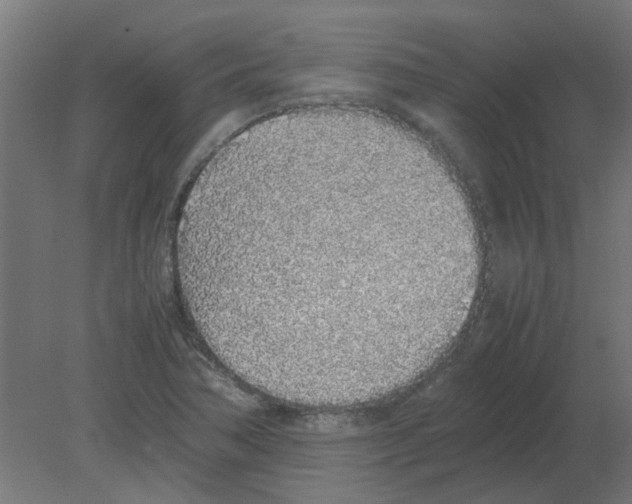X0000080781362200701122110
