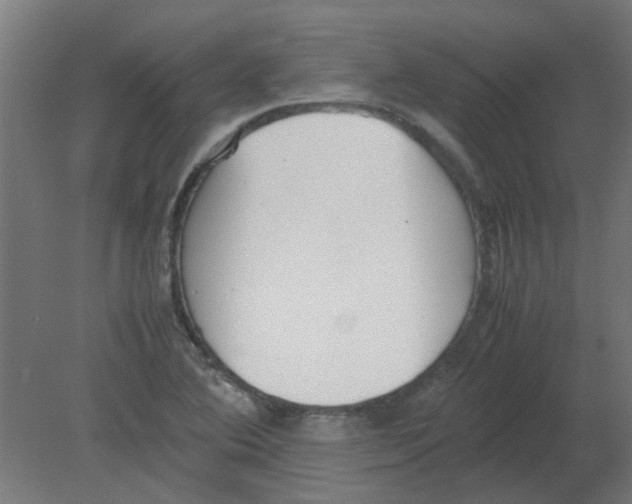 X0000080781364200701122110