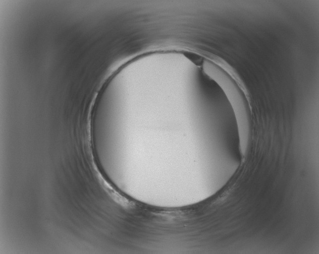 X0000080781388200701122110