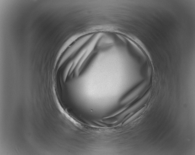 X0000080781389200701122110