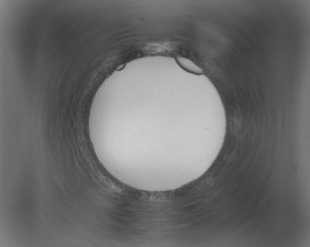 X0000080781393200701122109