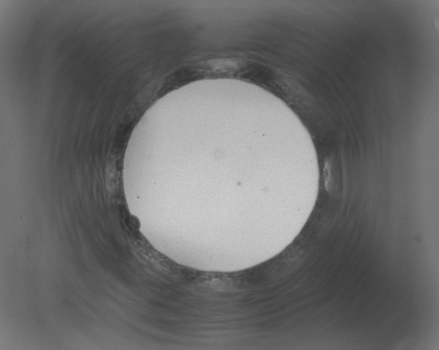 X0000080781395200701122109