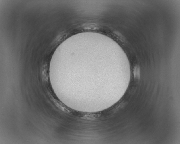 X0000080781396200701122109