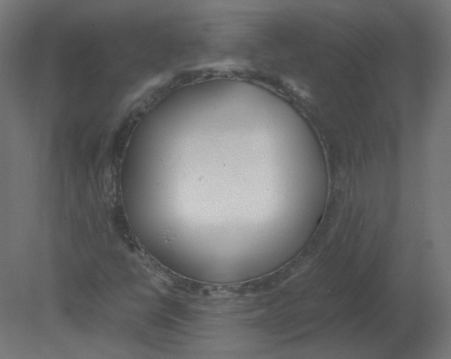 X0000080781398200701122109